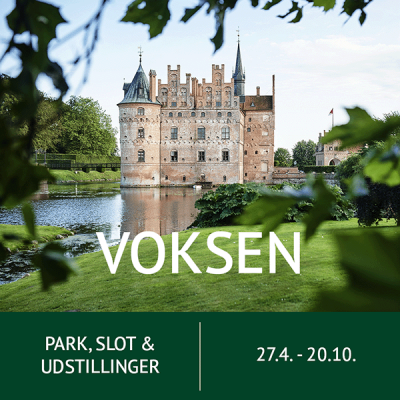 Dagsbillet voksen inkl. slot