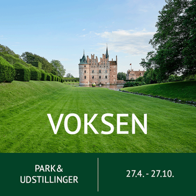 Dagsbillet voksen uden slot